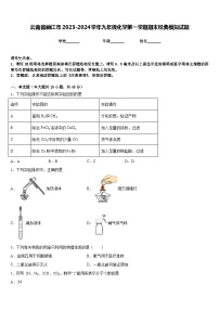 云南省丽江市2023-2024学年九年级化学第一学期期末经典模拟试题含答案