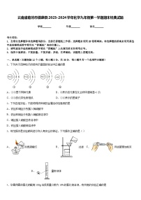 云南省临沧市镇康县2023-2024学年化学九年级第一学期期末经典试题含答案