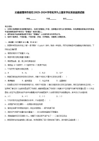 云南省普洱市名校2023-2024学年化学九上期末学业质量监测试题含答案