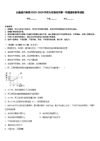 云南省巧家县2023-2024学年九年级化学第一学期期末联考试题含答案