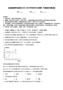 云南省曲靖市陆良县2023-2024学年化学九年级第一学期期末经典试题含答案