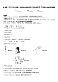 云南省文山州文山市马塘中学2023-2024学年化学九年级第一学期期末考试模拟试题含答案