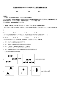 云南省师宗县2023-2024学年九上化学期末检测试题含答案