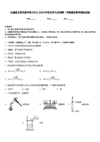 云南省玉溪市新平县2023-2024学年化学九年级第一学期期末联考模拟试题含答案