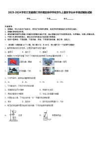 2023-2024学年江苏省镇江市丹阳实验中学化学九上期末学业水平测试模拟试题含答案