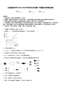 云南省重点中学2023-2024学年化学九年级第一学期期末统考模拟试题含答案