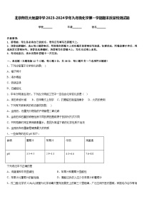 北京师范大附属中学2023-2024学年九年级化学第一学期期末质量检测试题含答案