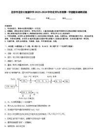 北京市北京大附属中学2023-2024学年化学九年级第一学期期末调研试题含答案