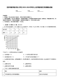 北京市昌平临川育人学校2023-2024学年九上化学期末复习检测模拟试题含答案