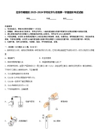 北京市朝阳区2023-2024学年化学九年级第一学期期末考试试题含答案