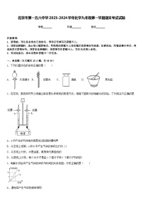 北京市第一五六中学2023-2024学年化学九年级第一学期期末考试试题含答案