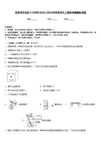 北京市丰台区十八中学2023-2024学年化学九上期末经典模拟试题含答案