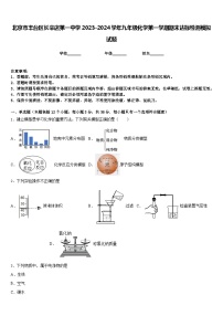 北京市丰台区长辛店第一中学2023-2024学年九年级化学第一学期期末达标检测模拟试题含答案