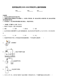 北京市景山学校2023-2024学年化学九上期末检测试题含答案