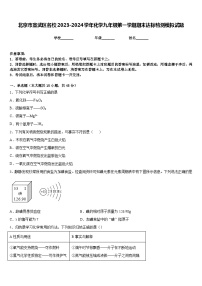 北京市宣武区名校2023-2024学年化学九年级第一学期期末达标检测模拟试题含答案