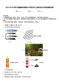 2023-2024学年江西省赣州市赣州七中学化学九上期末学业水平测试模拟试题含答案