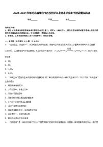 2023-2024学年河北省邢台市名校化学九上期末学业水平测试模拟试题含答案