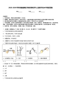 2023-2024学年河南省商丘市民权县化学九上期末学业水平测试试题含答案