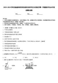 2023-2024学年河南省郑州市郑东新区实验学校九年级化学第一学期期末学业水平测试模拟试题含答案