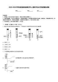 2023-2024学年湖北省恩施州化学九上期末学业水平测试模拟试题含答案