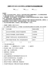 合肥市45中2023-2024学年九上化学期末学业质量监测模拟试题含答案