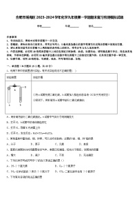 合肥市瑶海区2023-2024学年化学九年级第一学期期末复习检测模拟试题含答案