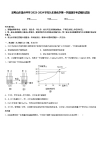 双鸭山市重点中学2023-2024学年九年级化学第一学期期末考试模拟试题含答案