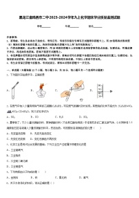 黑龙江省鸡西市二中2023-2024学年九上化学期末学业质量监测试题含答案