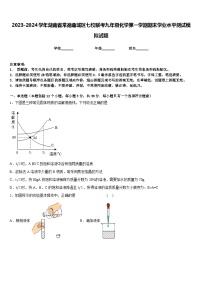 2023-2024学年湖南省常德鼎城区七校联考九年级化学第一学期期末学业水平测试模拟试题含答案