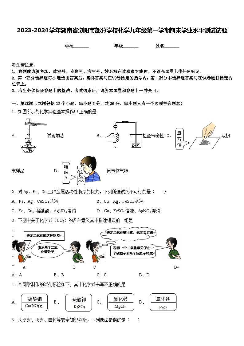 2023-2024学年湖南省浏阳市部分学校化学九年级第一学期期末学业水平测试试题含答案01