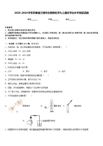 2023-2024学年甘肃省兰州市永登县化学九上期末学业水平测试试题含答案