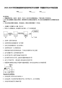 2023-2024学年甘肃省张掖市城关初中化学九年级第一学期期末学业水平测试试题含答案