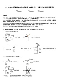 2023-2024学年福建省泉州市永春第二中学化学九上期末学业水平测试模拟试题含答案