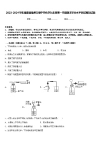 2023-2024学年福建省福州文博中学化学九年级第一学期期末学业水平测试模拟试题含答案