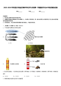 2023-2024学年重庆市鲁能巴蜀中学化学九年级第一学期期末学业水平测试模拟试题含答案