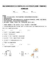 黑龙江省鸡西市虎林市八五八农场学校2023-2024学年化学九年级第一学期期末复习检测模拟试题含答案