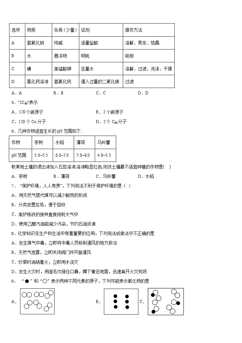 嘉兴市秀洲区2023-2024学年九年级化学第一学期期末监测模拟试题含答案第2页