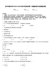 嘉兴市重点中学2023-2024学年九年级化学第一学期期末复习检测模拟试题含答案