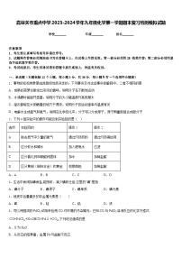 嘉峪关市重点中学2023-2024学年九年级化学第一学期期末复习检测模拟试题含答案