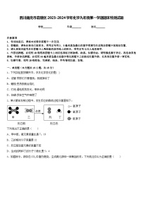 四川南充市嘉陵区2023-2024学年化学九年级第一学期期末检测试题含答案