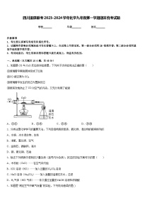 四川渠县联考2023-2024学年化学九年级第一学期期末统考试题含答案