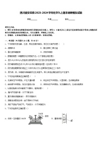 四川省安岳县2023-2024学年化学九上期末调研模拟试题含答案