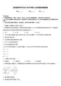 四川省巴中学2023-2024学年九上化学期末预测试题含答案