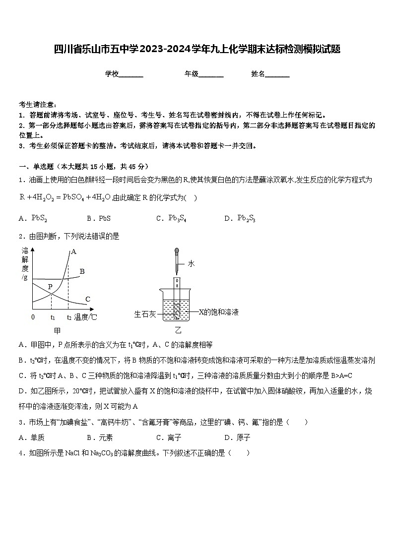 四川省乐山市五中学2023-2024学年九上化学期末达标检测模拟试题含答案第1页