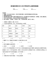 四川省乐至县2023-2024学年化学九上期末检测试题含答案