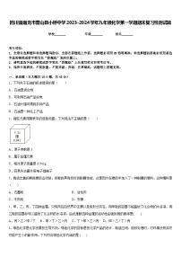 四川省南充市营山县小桥中学2023-2024学年九年级化学第一学期期末复习检测试题含答案