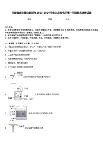 四川省南充营山县联考2023-2024学年九年级化学第一学期期末调研试题含答案