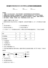 四川省内江市东兴区2023-2024学年九上化学期末质量跟踪监视试题含答案