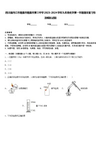 四川省内江市隆昌市隆昌市第三中学2023-2024学年九年级化学第一学期期末复习检测模拟试题含答案