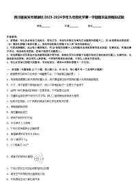 四川省宜宾市翠屏区2023-2024学年九年级化学第一学期期末监测模拟试题含答案